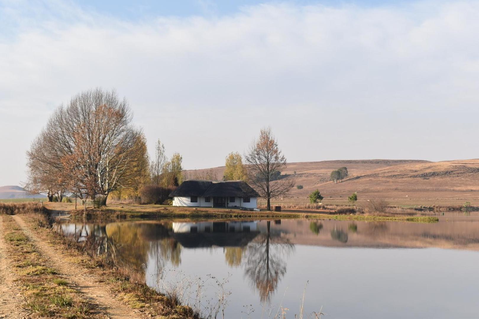 אונדרברג Dieu Donne Cottage מראה חיצוני תמונה